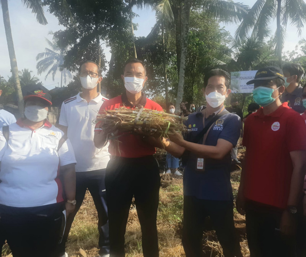 Dorong Peningkatan Populasi Sapi Bali, Dinas Pertanian Kembangkan Kebun Edukasi HPT